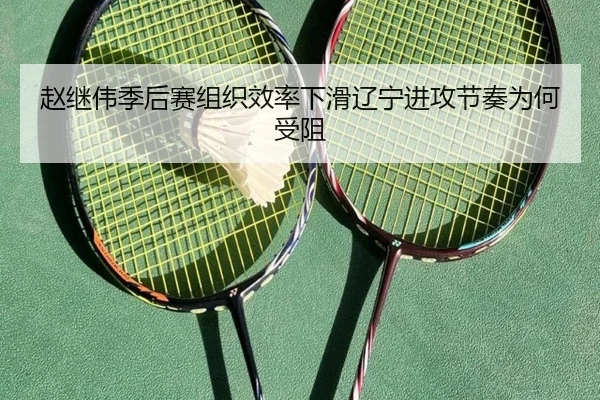 赵继伟季后赛组织效率下滑辽宁进攻节奏为何受阻
